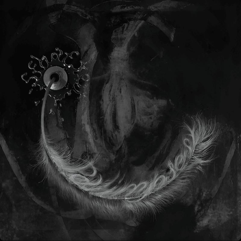 Schafter - Palimpsest