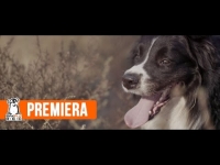 Rahim - Ślepcy (MaxFloXmas) prod. EljotSounds