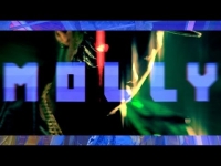 Tyga - Molly ft Wiz Khalifa, Mally Mall [OFFICIAL MUSIC VIDEO]