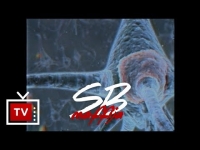 solar - neuron ft. białas (prod. deemz)