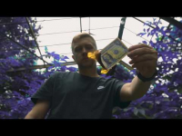 Ghettopop - Le Papier