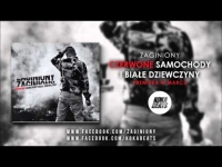 Zaginiony - Czerwone Samochody i Białe Dziewczyny (Promomix)