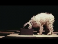 DJ Tuniziano & JWP/BC feat. Warszafski Deszcz - Dawaj Milion (prod. Sir Michu)