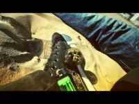 101 Decybeli x B.A.K.U. - California Dreamin