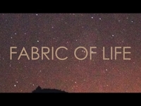 Czarny HIFI feat. Promoe - Fabric of life (audio)