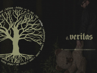 ANATOM x SLVR - Veritas