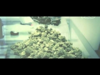 Guzior - ylloM [Video Mashup]