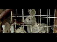 Miuosh - Reprezent (feat.Joka, muz.Minor, scr.Dj Ben) (OFFICIAL VIDEO)