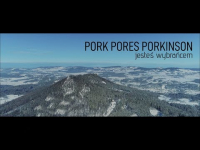 Pork Pores Porkinson - Jesteś Wybrańcem (prod. Kris SCR, skrecze: Slime)