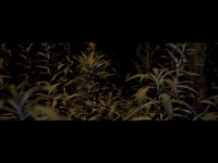 ReTo - WRZASK (prod. SecretRank) Official Video