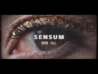 Gedz - SENSUM (OFFICIAL VIDEO)