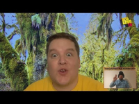 donGURALesko & Matheo - Zajko Kokorajko [free track]