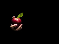 Medard - Kuszenie (Dla Sztuki #2)