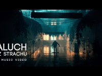 Paluch "Bez Strachu" prod. SoDrumatic cuty Dj Taek (New Music Video)
