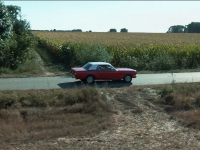 Gibbs x Avi - 30 stopni