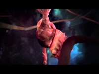 Joey Bada$$ - Christ Conscious (Official Video)