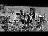 Stalley "Long Way Down" feat. Crystal Torres (Directed by BMike)